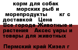  Holistic Blend корм для собак 5 морских рыб и морепродукты 11,3 кг с доставкой › Цена ­ 5 157 - Все города Животные и растения » Аксесcуары и товары для животных   . Пермский край,Кизел г.